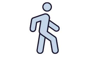 icon walking